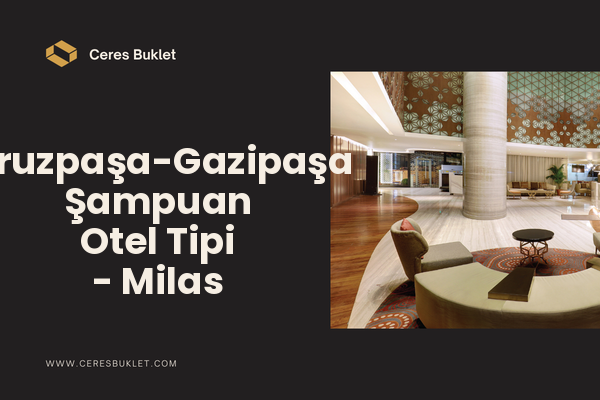 Firuzpaşa-Gazipaşa Şampuan Otel Tipi - Milas