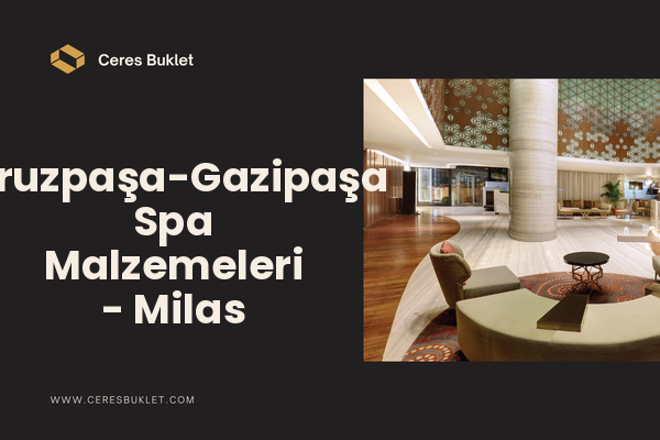 Firuzpaşa-Gazipaşa Spa Malzemeleri - Milas