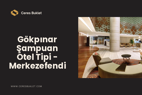 Gökpınar Şampuan Otel Tipi - Merkezefendi